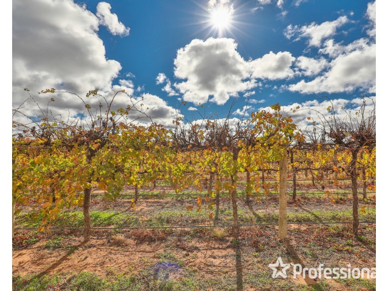 8514 Calder Highway, Red Cliffs VIC 3496