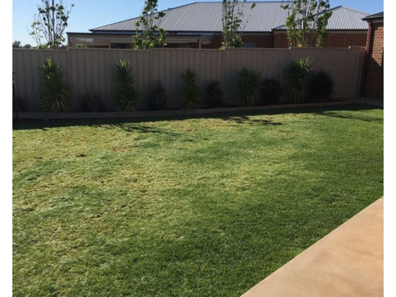 4 Renshinkan Court, Mildura VIC 3500