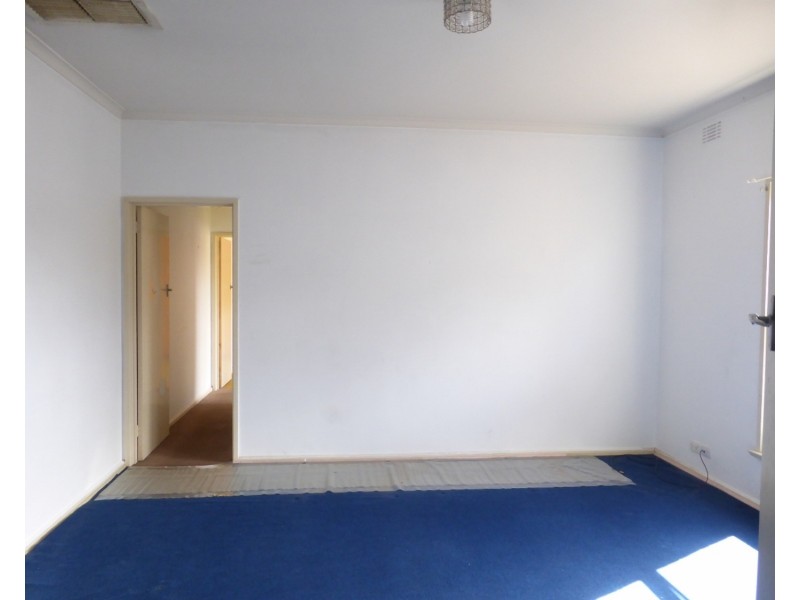 171 Walnut Avenue, Mildura VIC 3500