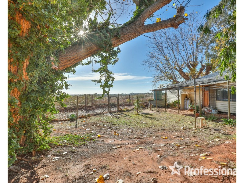 97 Wonega Avenue, Red Cliffs VIC 3496