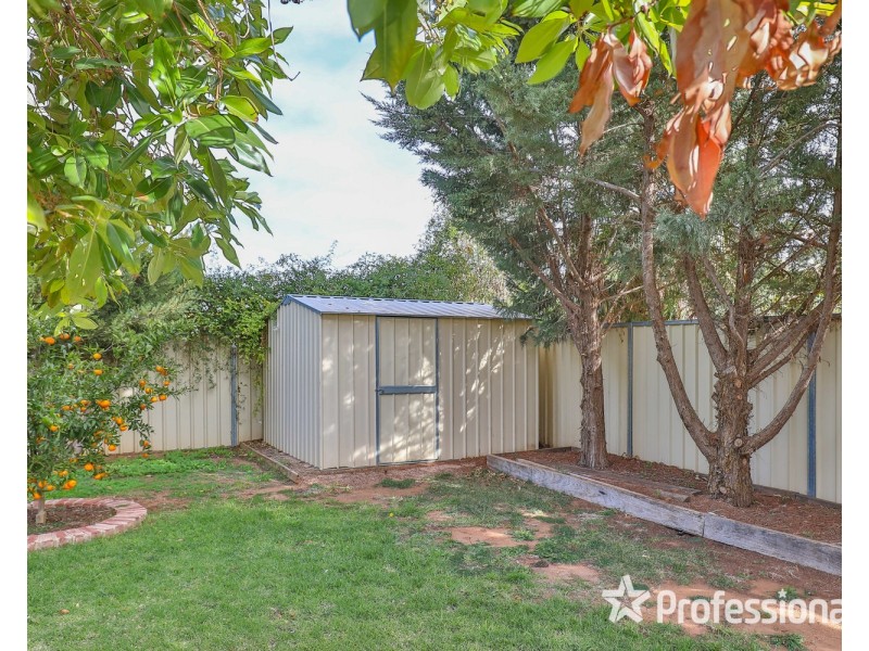 59 Tulane Drive, Mildura VIC 3500