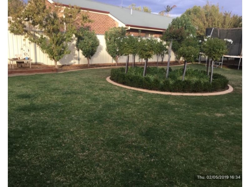 6 Zodiac Court, Irymple VIC 3498