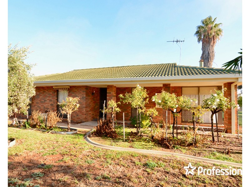 199 Thirteenth Street, Mildura VIC 3500