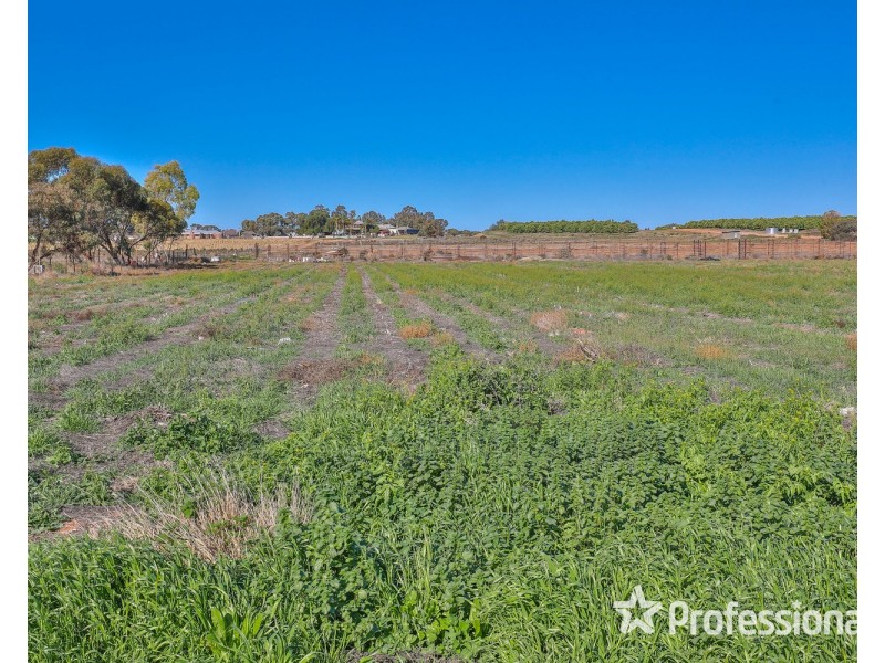 1214 Cowra Avenue, Irymple VIC 3498