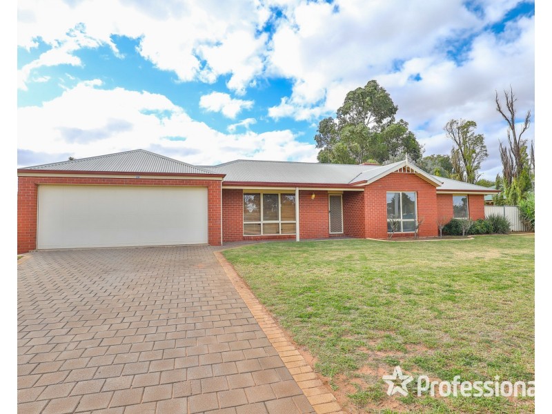24 Wood Street, Gol Gol NSW 2738
