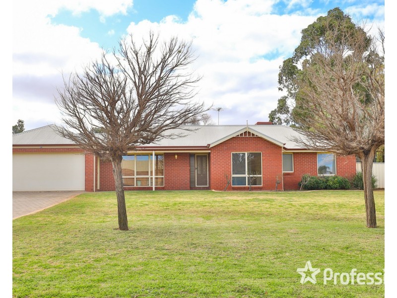 24 Wood Street, Gol Gol NSW 2738