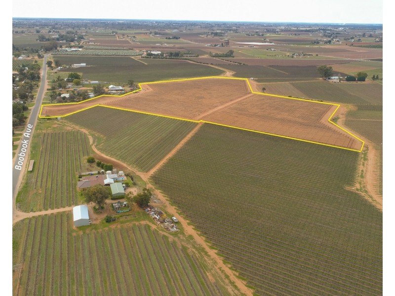 135 Boobook Avenue, Red Cliffs VIC 3496