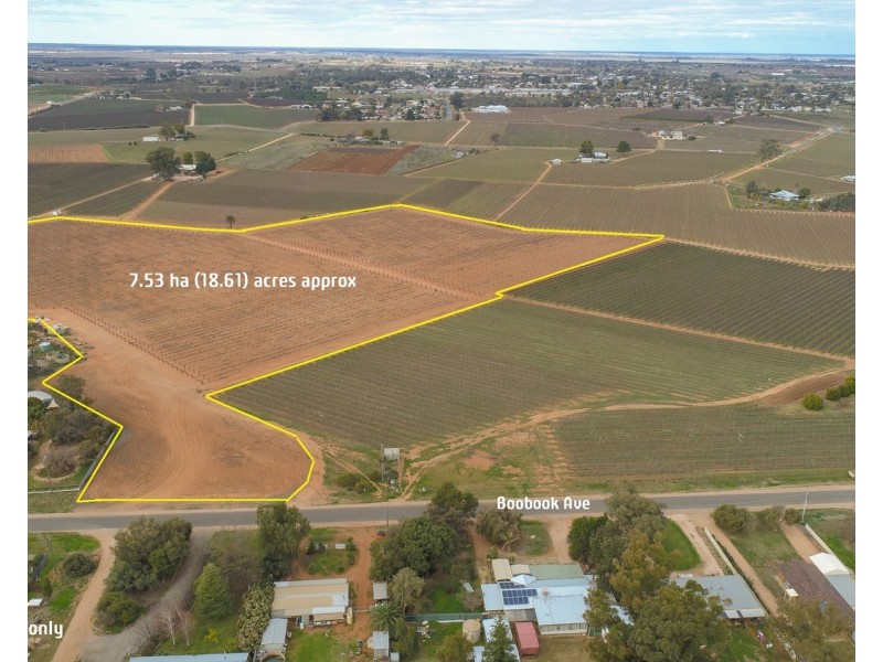 135 Boobook Avenue, Red Cliffs VIC 3496