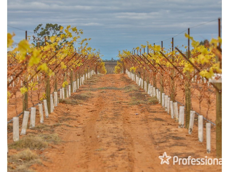 135 Boobook Avenue, Red Cliffs VIC 3496