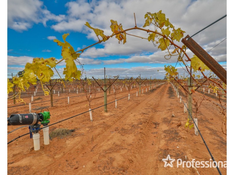 135 Boobook Avenue, Red Cliffs VIC 3496