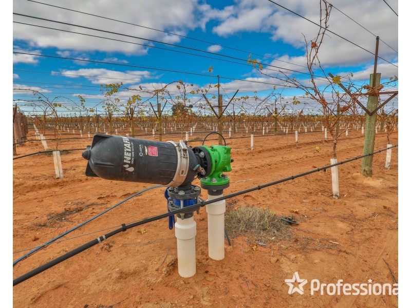 135 Boobook Avenue, Red Cliffs VIC 3496