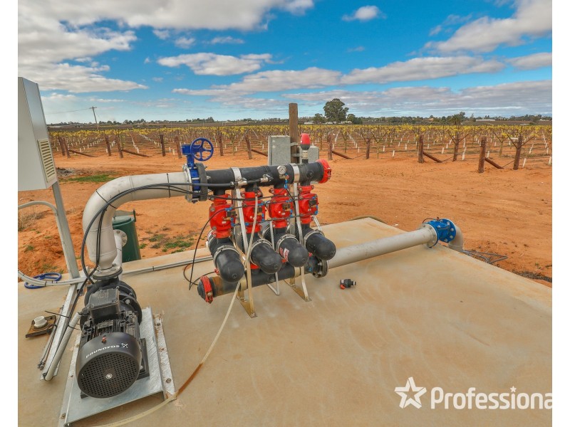 135 Boobook Avenue, Red Cliffs VIC 3496