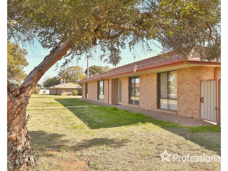 8 Hampton Court, Red Cliffs VIC 3496