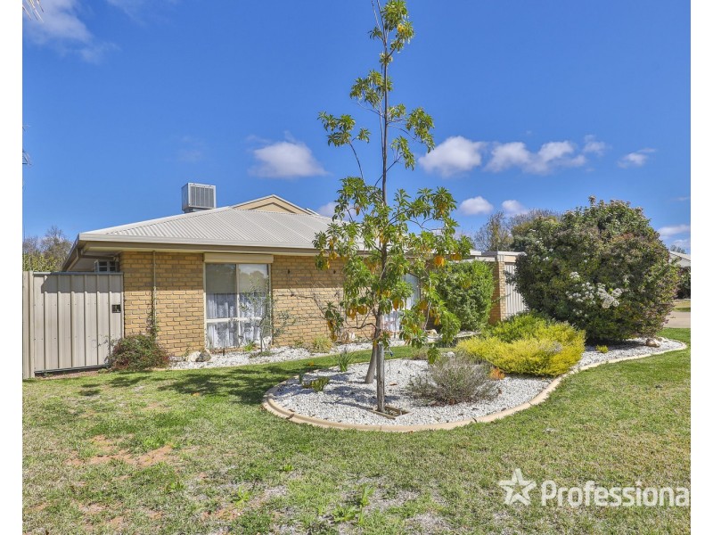 20 Batey Crescent, Mildura VIC 3500