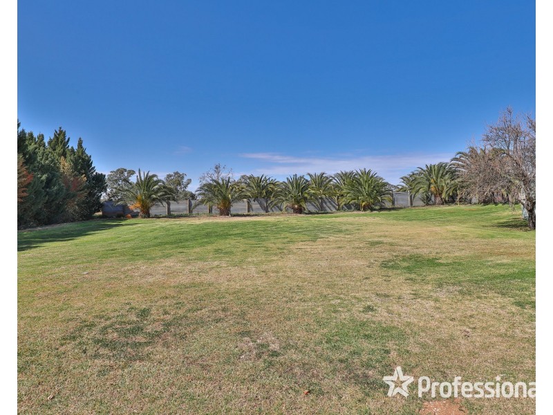 15 Fern Avenue, Irymple VIC 3498