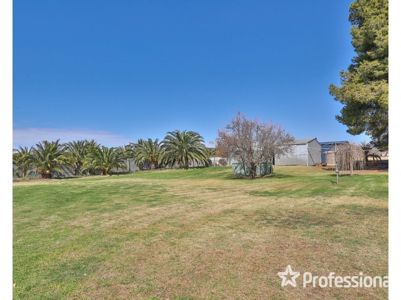 15 Fern Avenue, Irymple VIC 3498