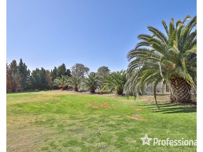 15 Fern Avenue, Irymple VIC 3498