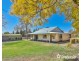 15 Fern Avenue, Irymple VIC 3498