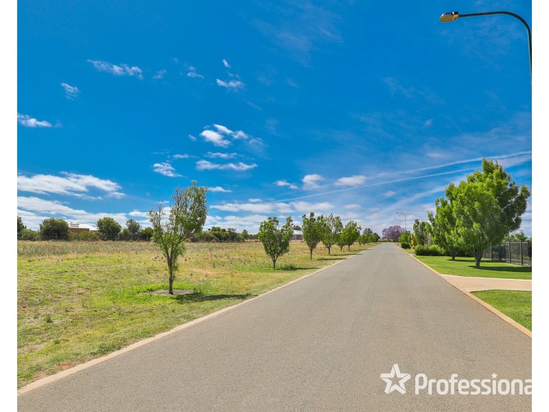 11 Panuccio Rise, Gol Gol NSW 2738