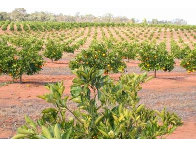 Lot 1 Kulkyne Way, Nangiloc VIC 3494