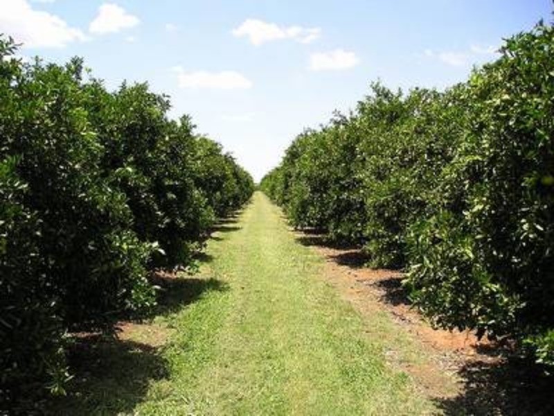 Lot 1 Kulkyne Way, Nangiloc VIC 3494