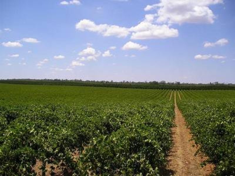 Lot 1 Kulkyne Way, Nangiloc VIC 3494