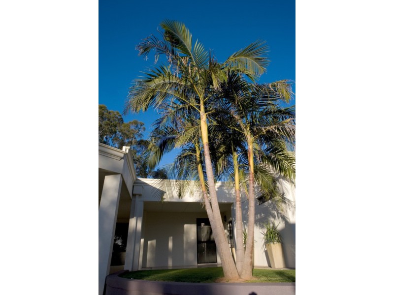 51 Carramar Drive, Gol Gol NSW 2738