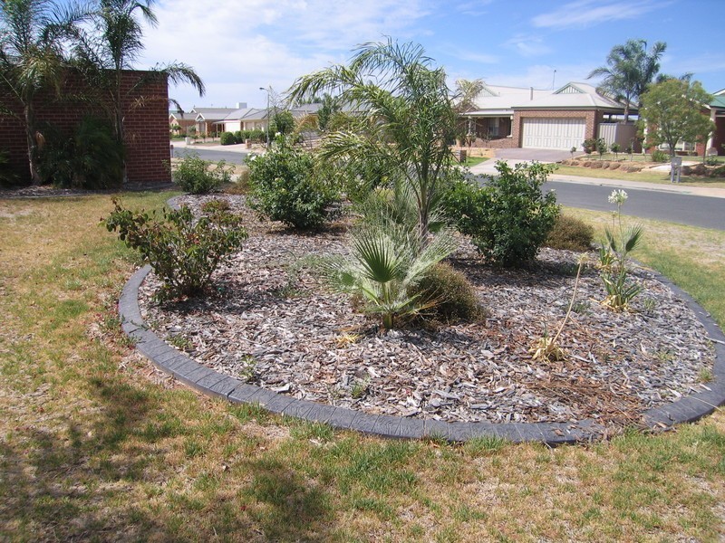 10 Vineleaf Street, Mildura VIC 3500