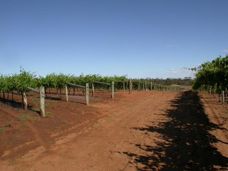 518 / 519 Westcliffs  Avenue, Red Cliffs VIC 3496