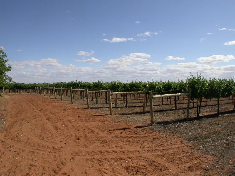 518 / 519 Westcliffs  Avenue, Red Cliffs VIC 3496