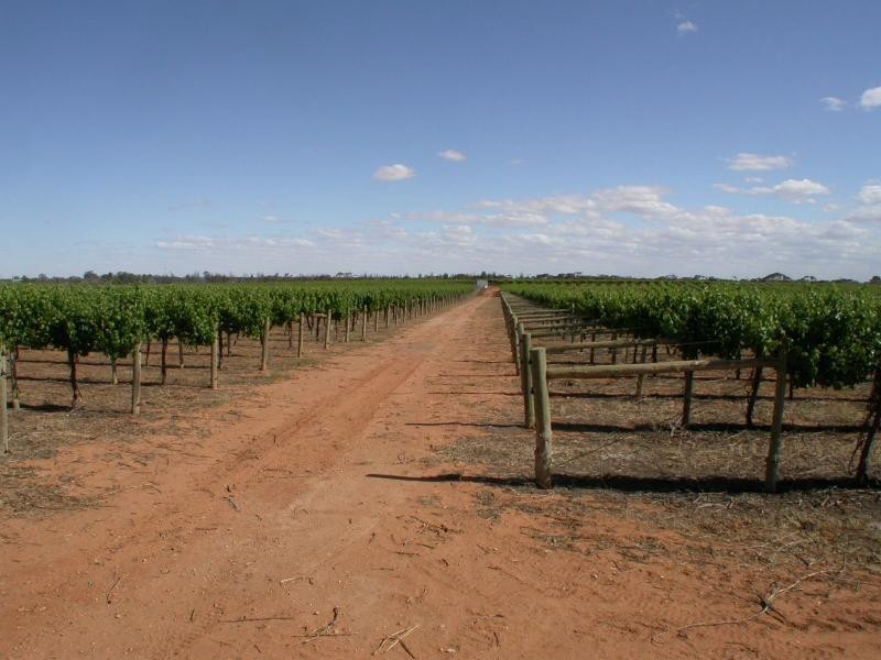 518 / 519 Westcliffs  Avenue, Red Cliffs VIC 3496