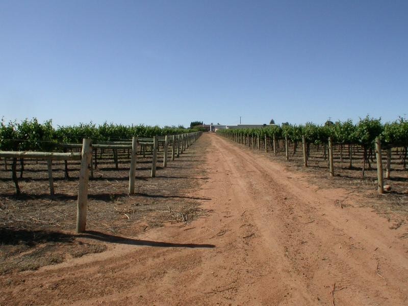 518 / 519 Westcliffs  Avenue, Red Cliffs VIC 3496