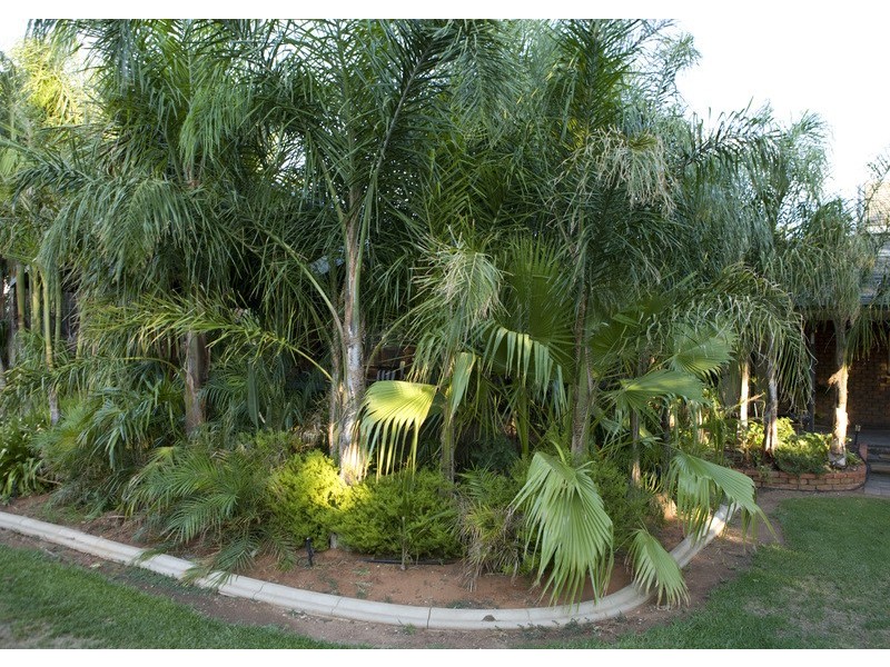 3515 Benetook Avenue, Mildura VIC 3500