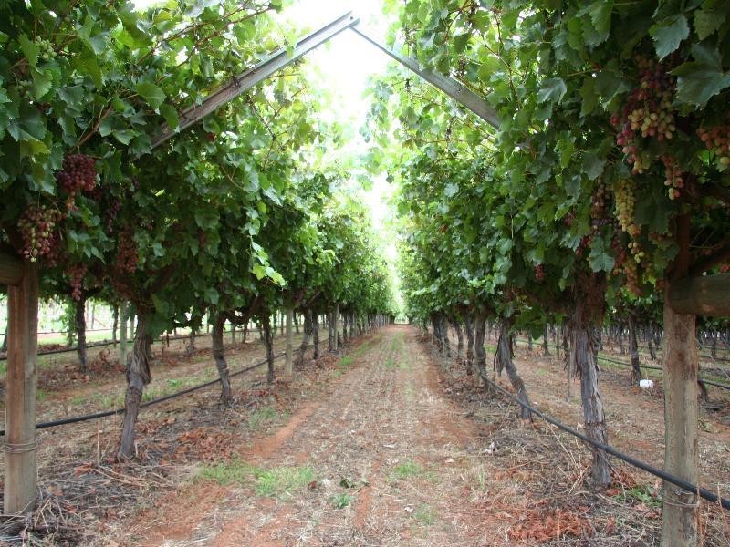 Block 568  Mulga Street, Cardross VIC 3496