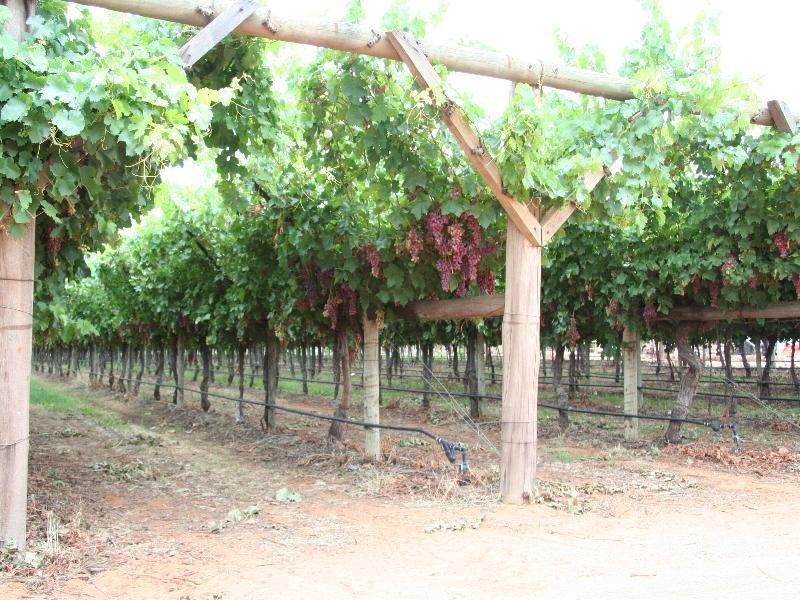 Block 568  Mulga Street, Cardross VIC 3496