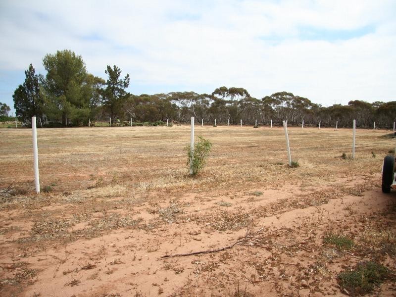 188 Dow Avenue, Cabarita VIC 3505