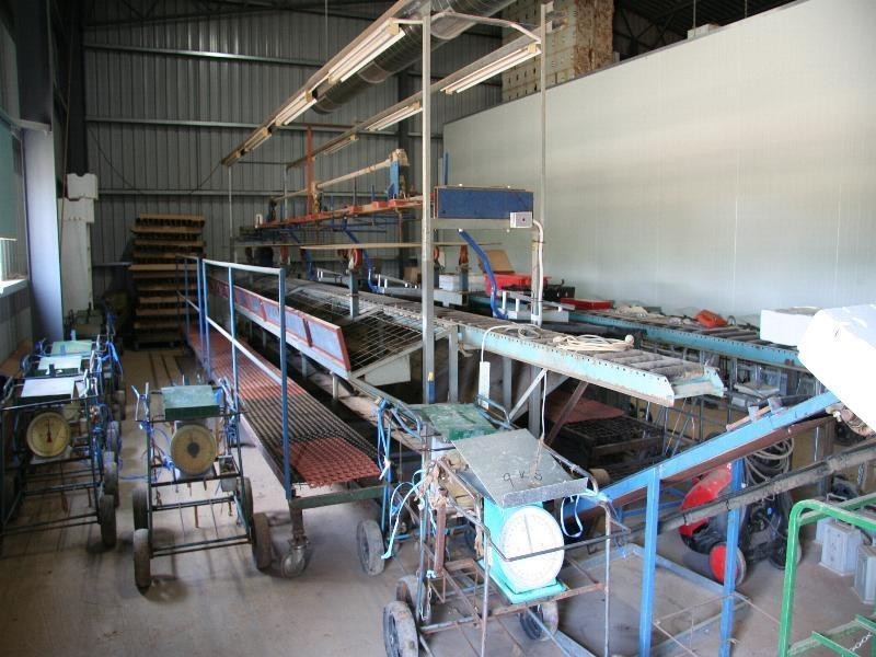 683 Wentworth Road, Yelta VIC 3505