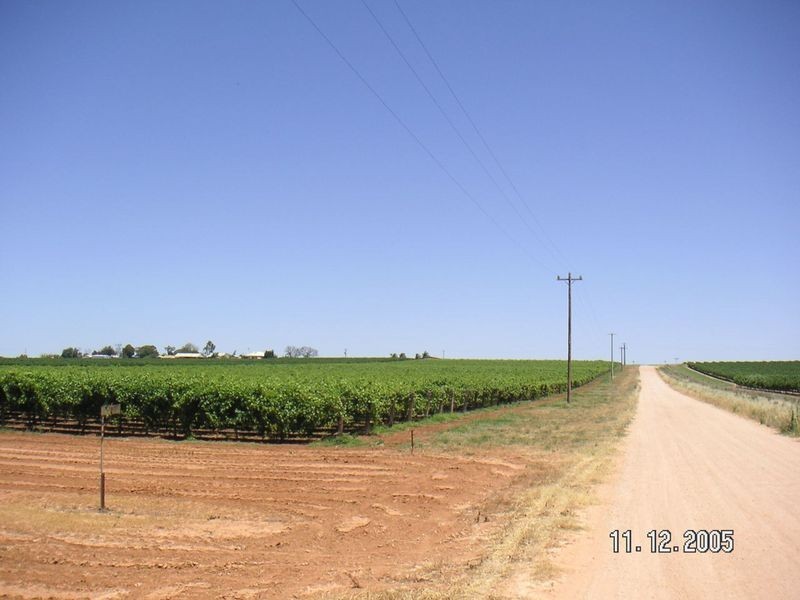 683 Wentworth Road, Yelta VIC 3505