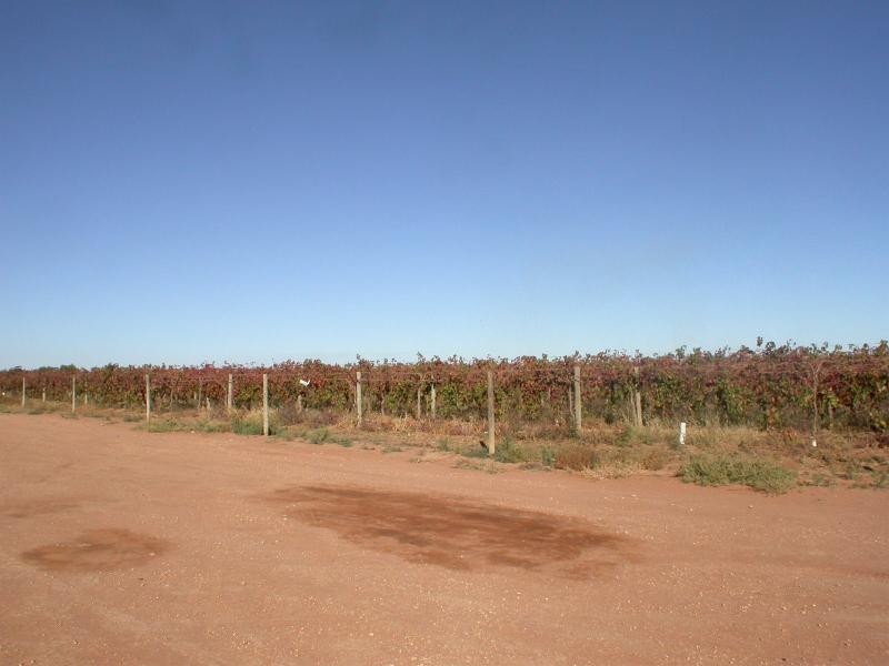 Lot 2  Oak Avenue, Birdwoodton VIC 3505