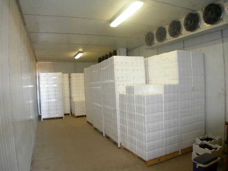 Lot 2  Oak Avenue, Birdwoodton VIC 3505