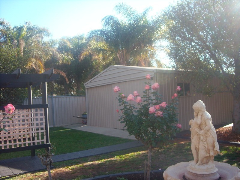 17 Muscat Court, Mildura VIC 3500