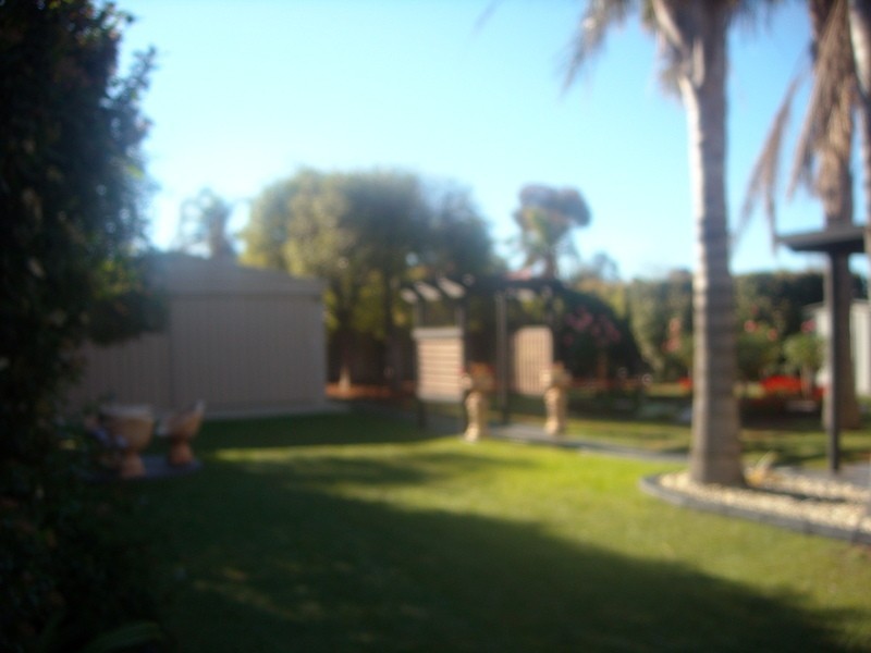 17 Muscat Court, Mildura VIC 3500
