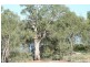 34 The Cobb And Co Way, Gol Gol NSW 2738