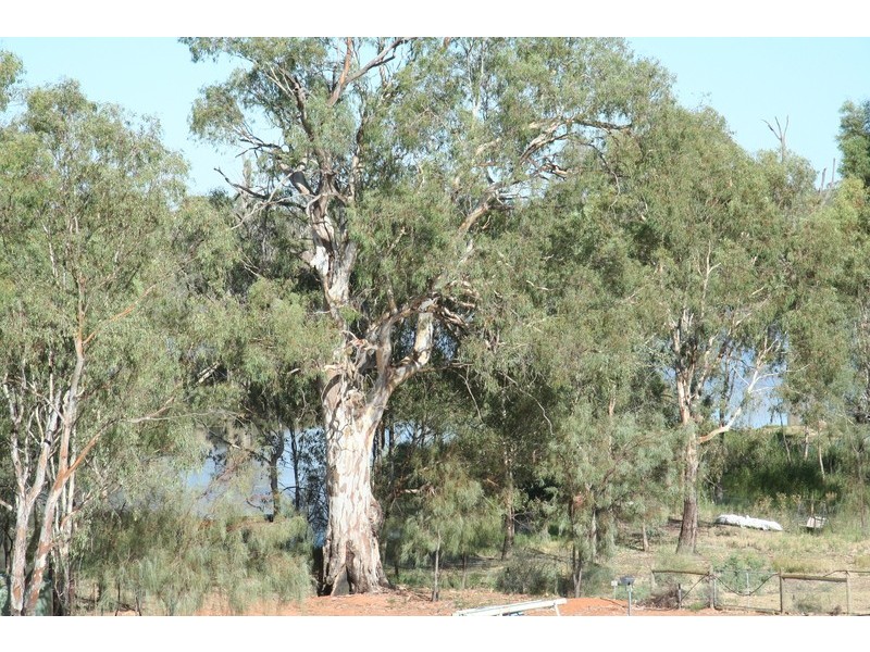 34 The Cobb And Co Way, Gol Gol NSW 2738