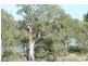 34 The Cobb And Co Way, Gol Gol NSW 2738