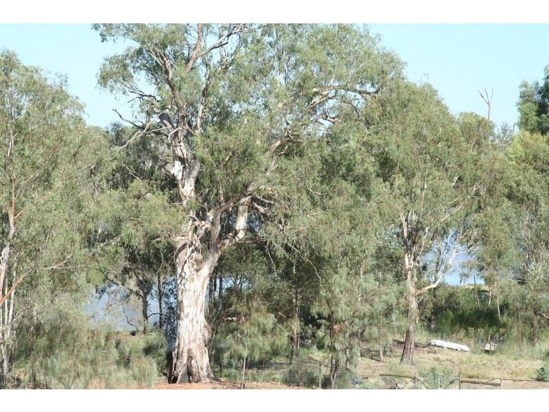 34 The Cobb And Co Way, Gol Gol NSW 2738