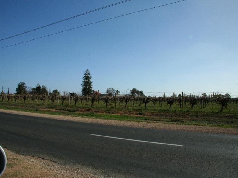 Lot 2/38 Cureton Avenue, Mildura VIC 3500