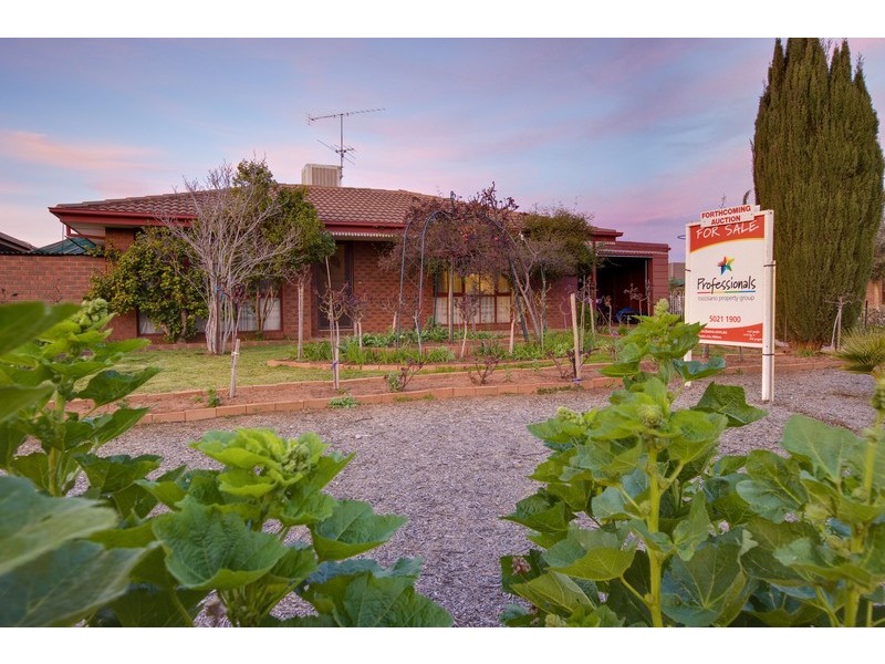 4 Johnson Drive, Irymple VIC 3498