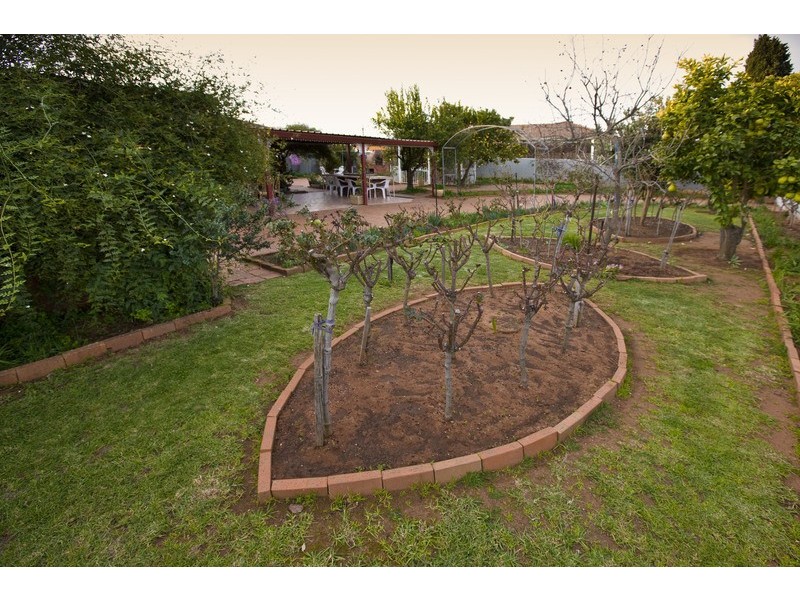 4 Johnson Drive, Irymple VIC 3498