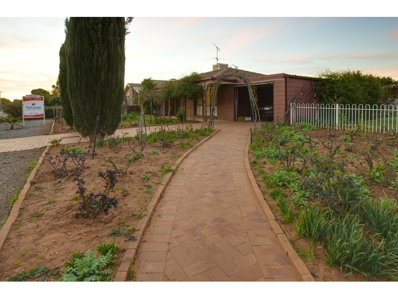 4 Johnson Drive, Irymple VIC 3498